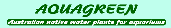 Aquagreen