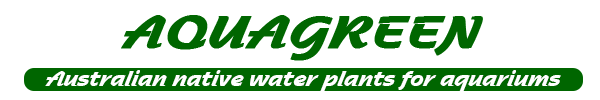 Aquagreen, Home of native Australian water plants for your aquarium.